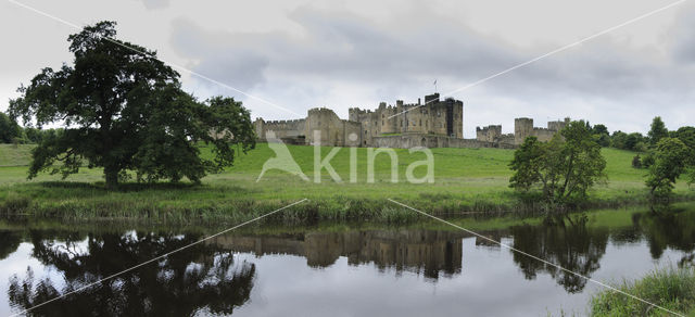 Alnwick Castle