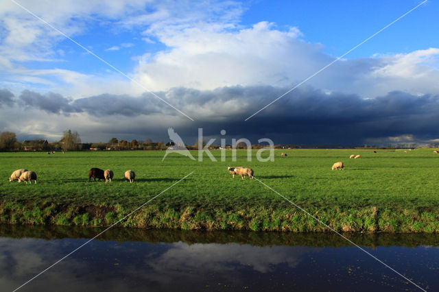 Driebruggen