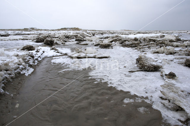 Duinen van Goeree