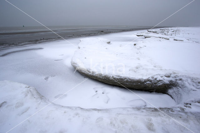 Duinen van Goeree