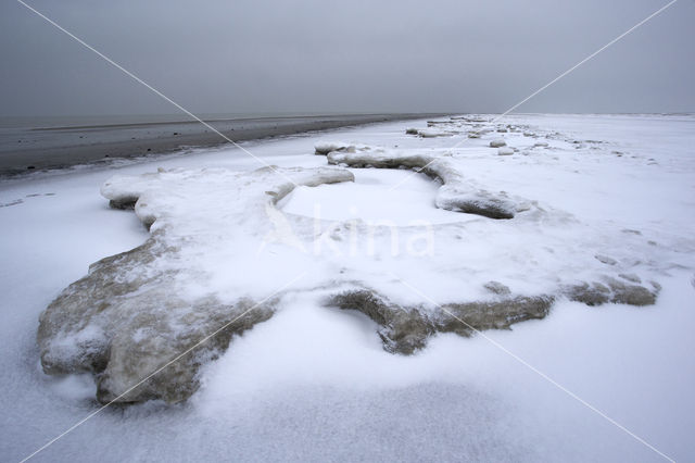 Duinen van Goeree