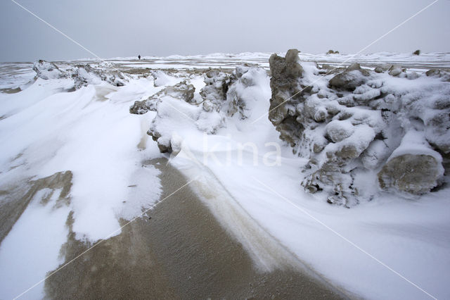 Duinen van Goeree