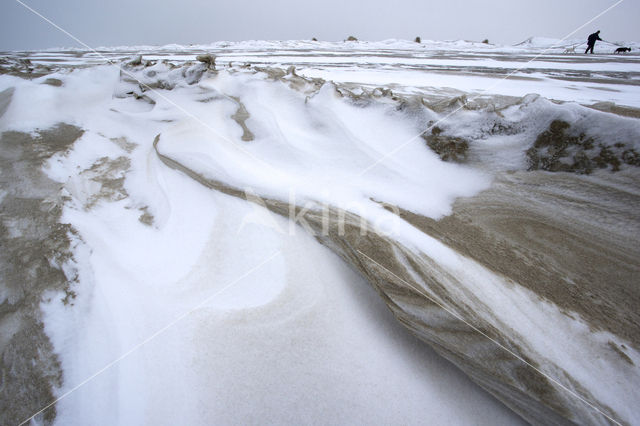 Duinen van Goeree