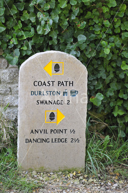 Durlston Head