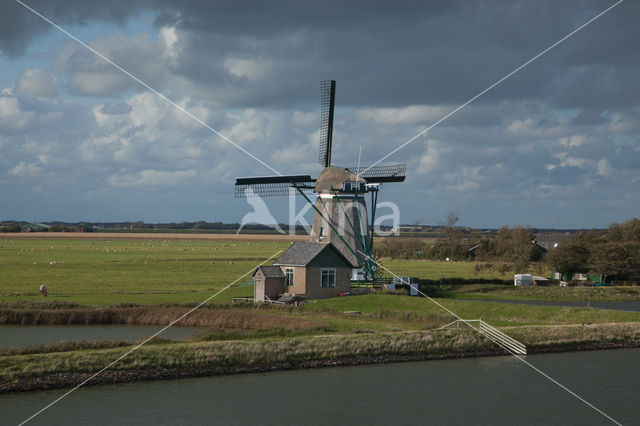 Lage land van Texel