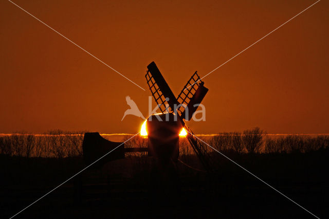 Lage land van Texel