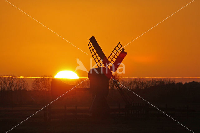 Lage land van Texel