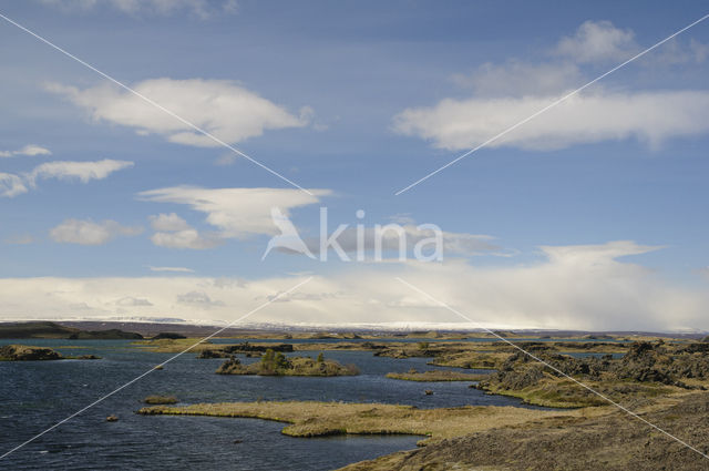 Myvatn