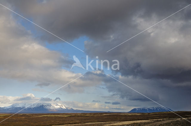 Myvatn