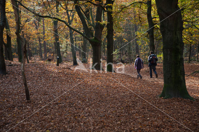 National Park Utrechtse Heuvelrug