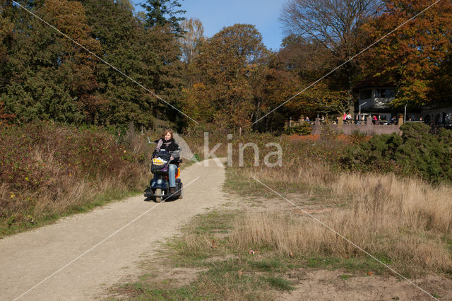 Nationaal park Utrechtse Heuvelrug