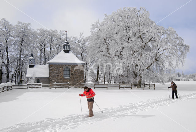 Natural Park Hautes Fagnes