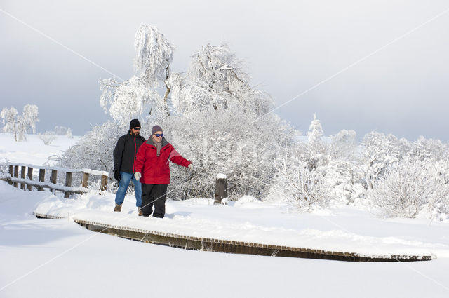 Natural Park Hautes Fagnes