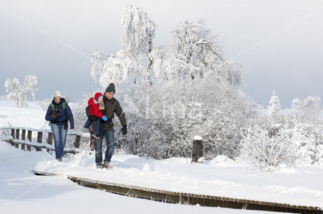 Natural Park Hautes Fagnes