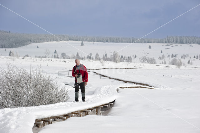 Natural Park Hautes Fagnes