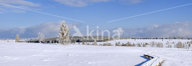 Natural Park Hautes Fagnes