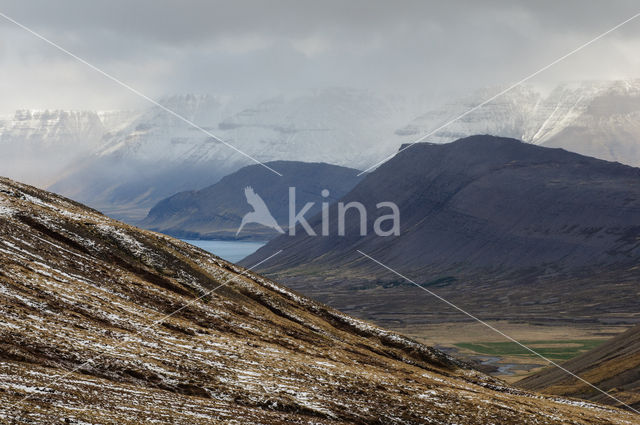 Northwest Iceland