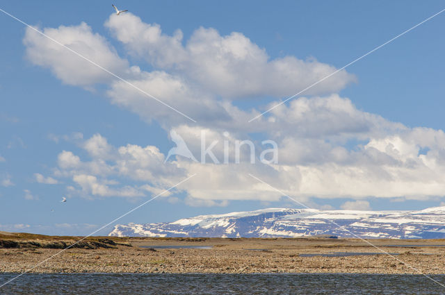 Northwest Iceland