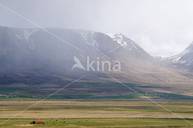 Northwest Iceland