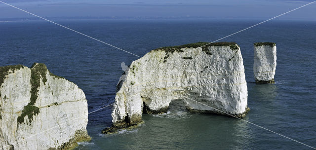 Old Harry Rocks