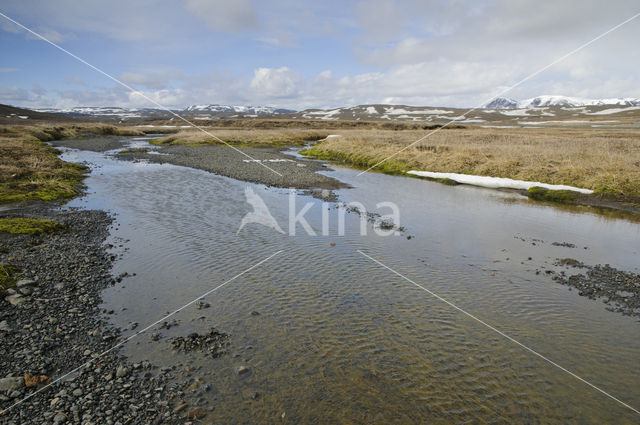 Oost-IJsland