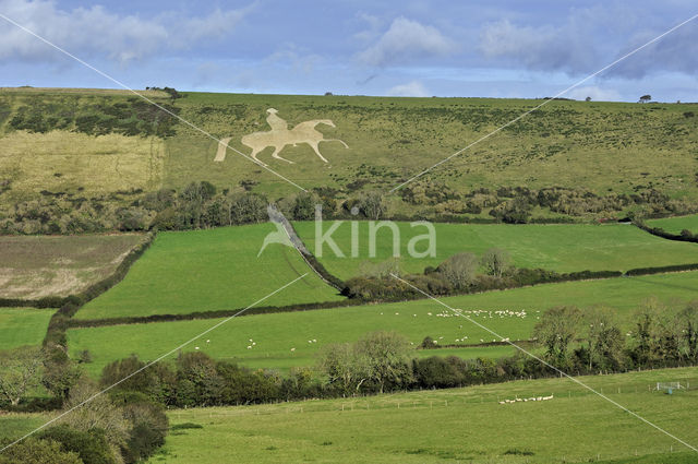 Osmington White Horse