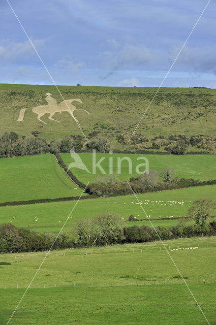 Osmington White Horse