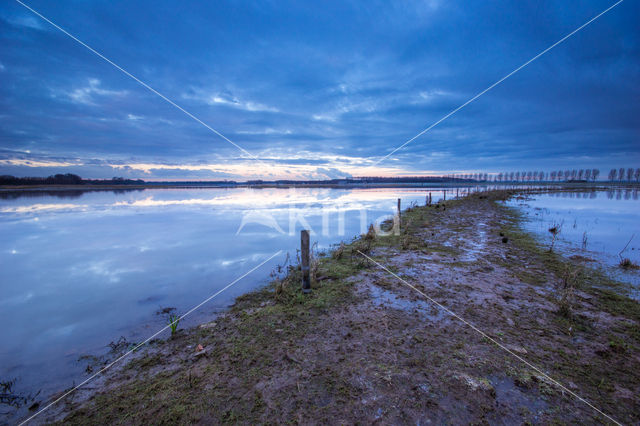 Polder de Biesbosch