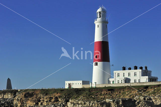 Portland Bill