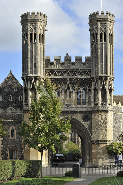 Saint Augustine's Abbey