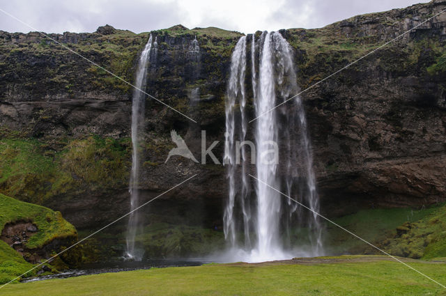 Seljalandsfoss