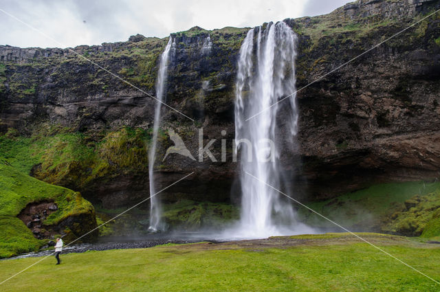 Seljalandsfoss