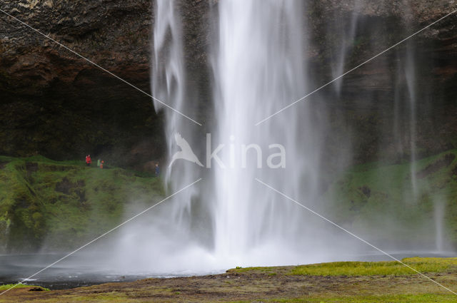 Seljalandsfoss