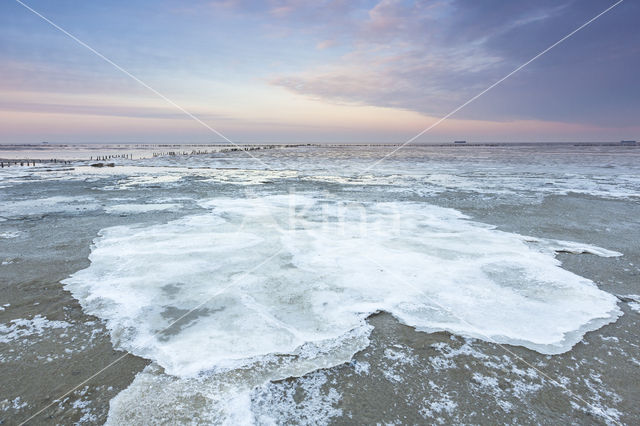 Waddenzee