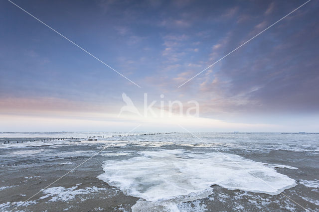 Waddenzee