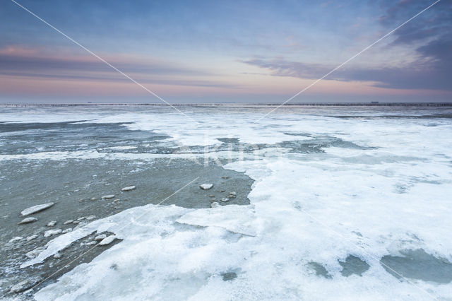 Waddensea