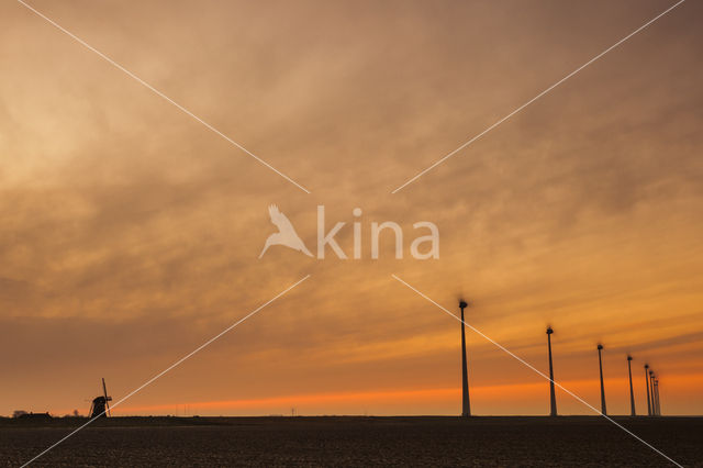 Windfarm