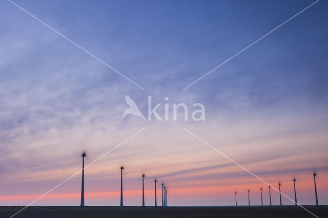 Windfarm