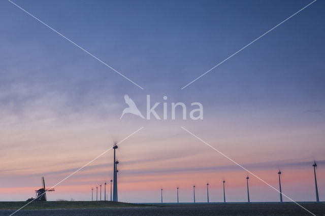 Windfarm