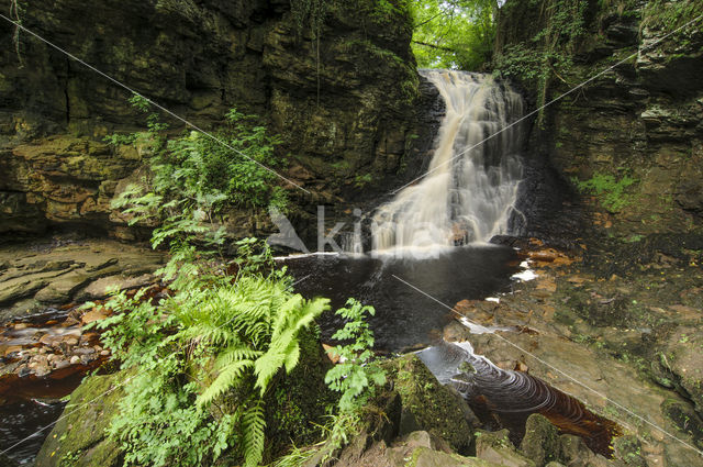 Hareshaw Linn