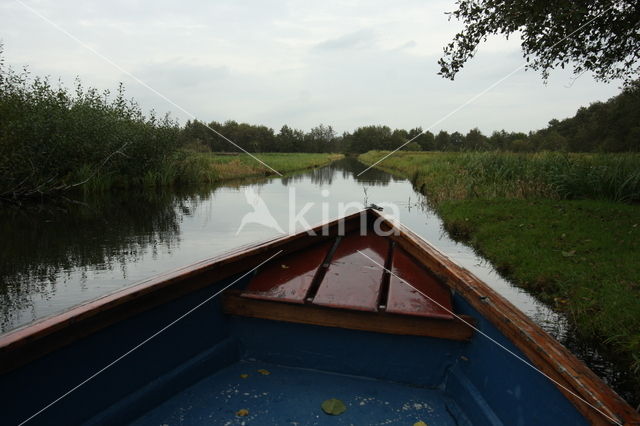 Loosdrechtse plassen