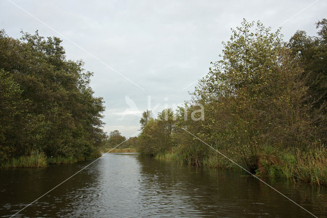 Loosdrechtse plassen