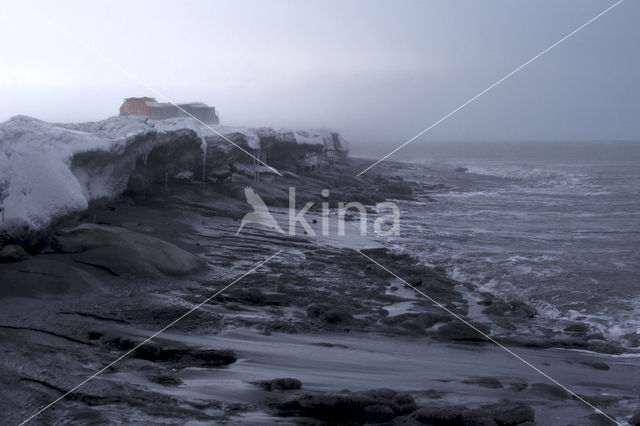 Sea of Okhotsk