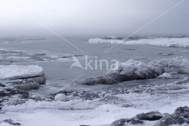 Sea of Okhotsk