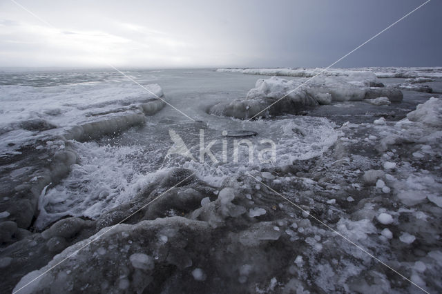 Sea of Okhotsk