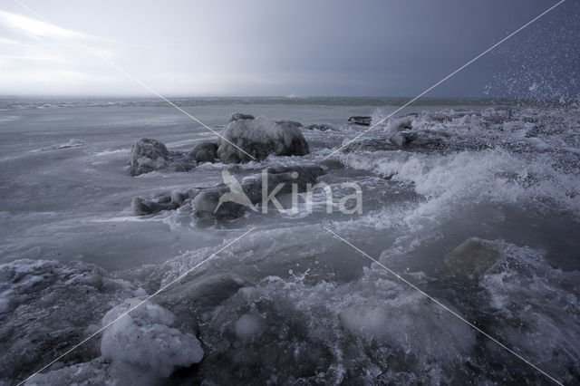 Sea of Okhotsk