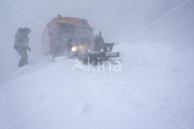 Sea of Okhotsk