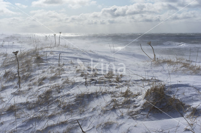 Sea of Okhotsk