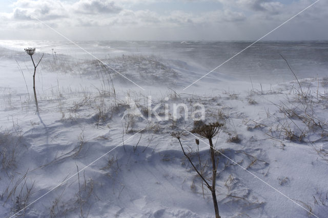 Sea of Okhotsk