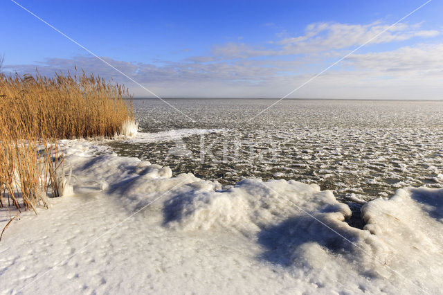 IJsselmeer